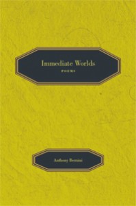 Immediate Worlds by Anthony Bernini