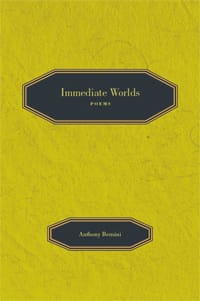 Immediate Worlds by Anthony Bernini