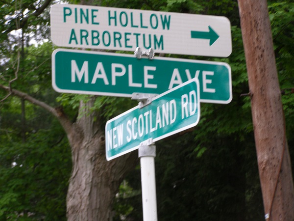 Pine Hollow Arboretum