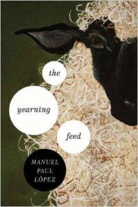 The Yearning Feed