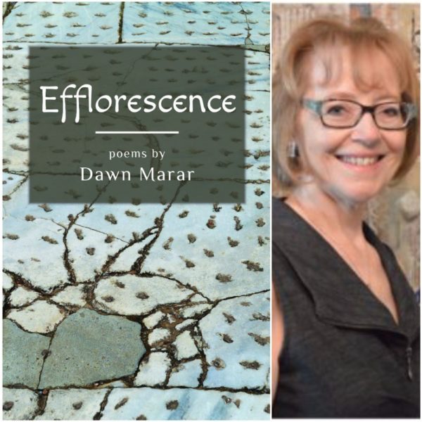 Dawn Marar - Efflorescence