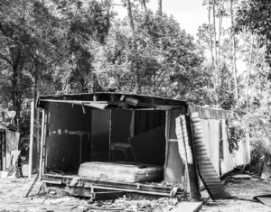 Trailer Park Quarterly, Volume 8