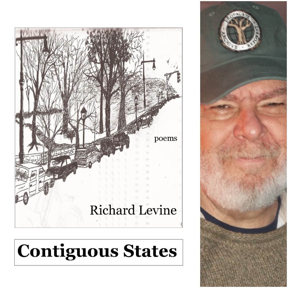 Contiguous States by Richard Levine