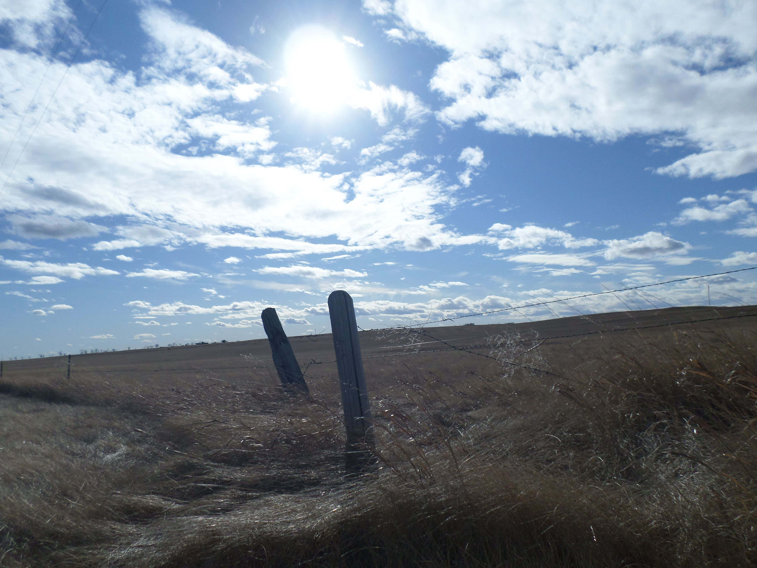 North Dakota Highway 29