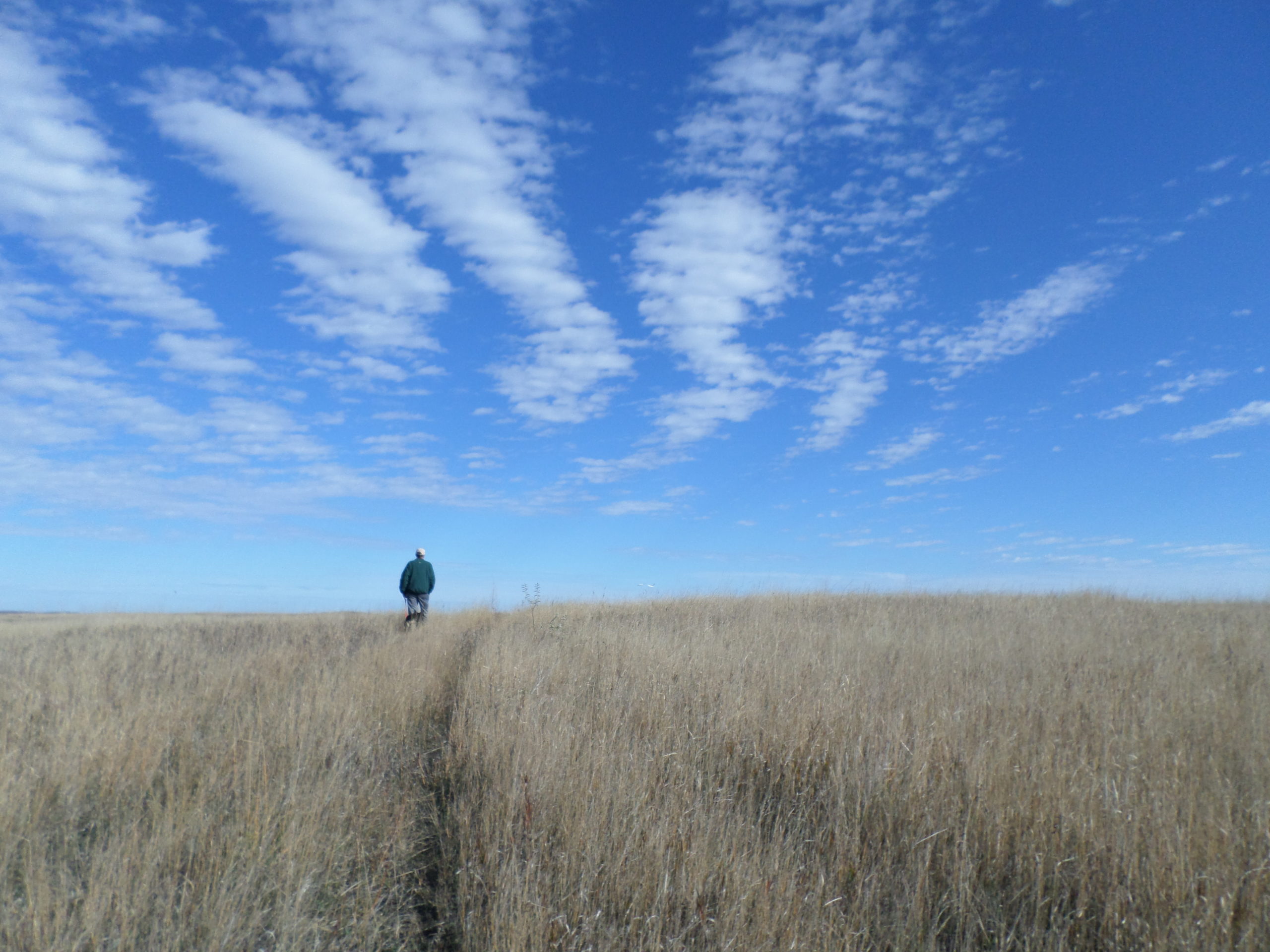 Walking on the Praire