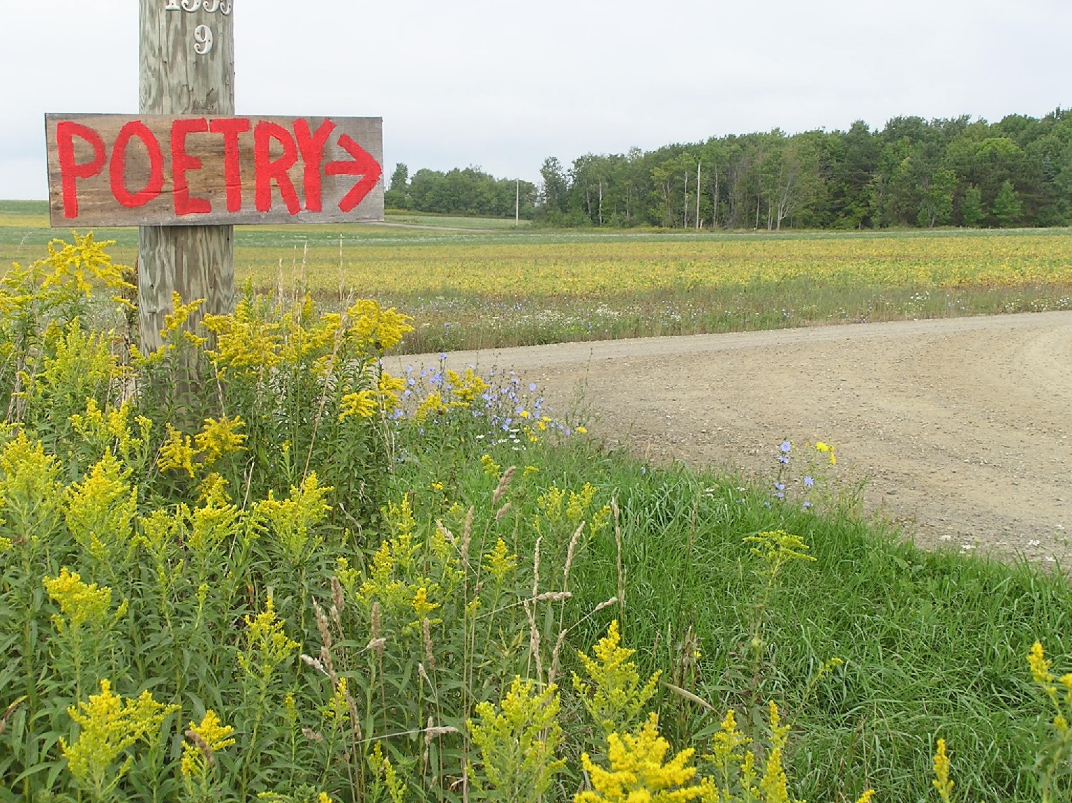 Wheeler Hill Poetry Gathering