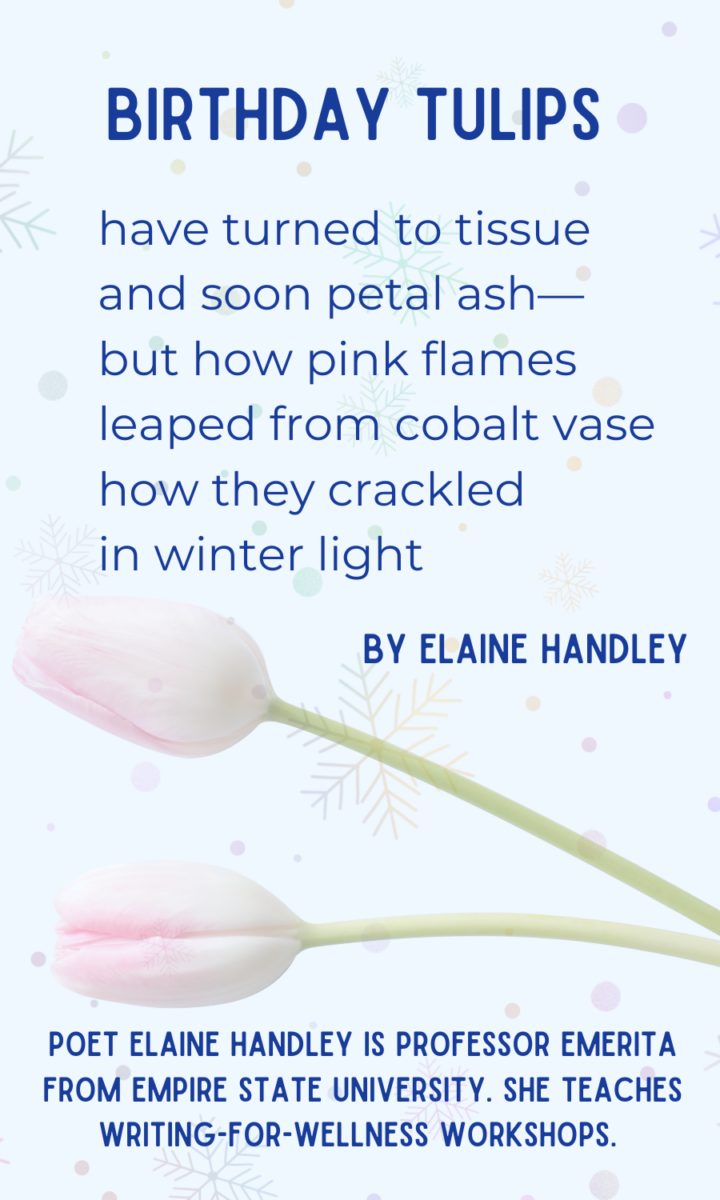 Birthday Tulips, by Elaine Handley